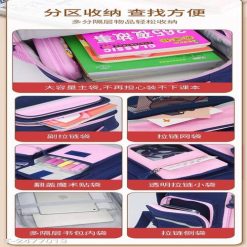 Balo Học Sinh Medd Chống Gù, Chống Thấm - Họa Tiết Gấu Cute, Vải Poly Cao Cấp WH745 - Donabico Mart